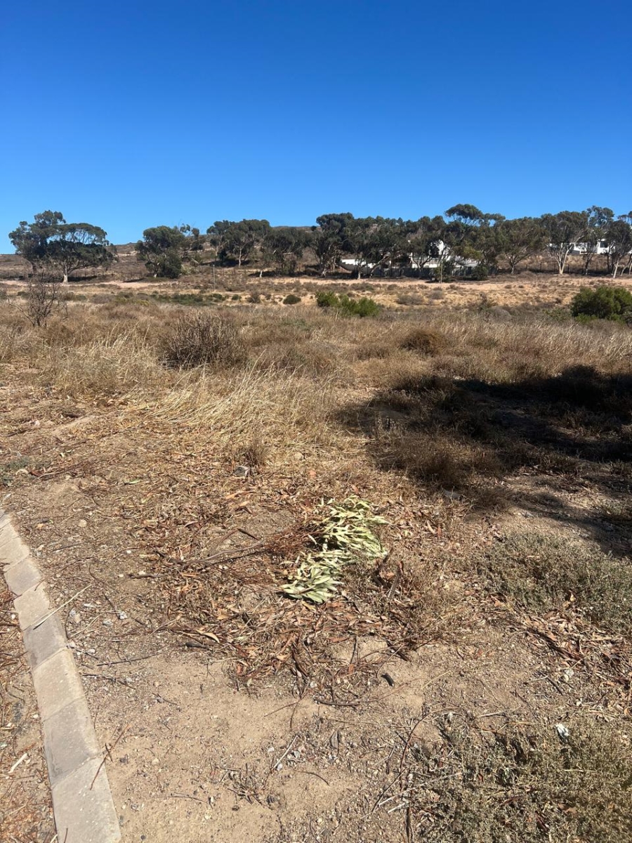 Commercial Property for Sale in Steenbergs Cove Western Cape